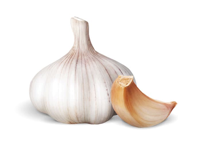 Freshest High Quality Garlic All Year Long Spice World