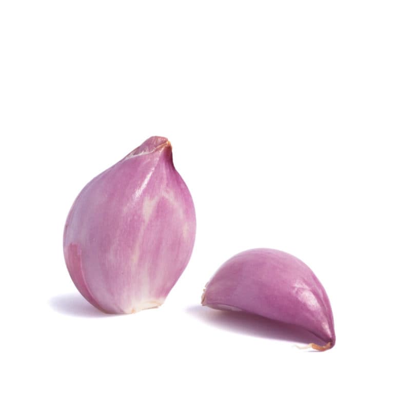 Shallots Archives Spice World