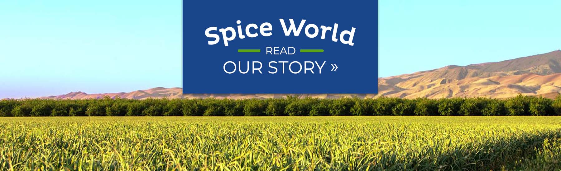 The Spice World Story