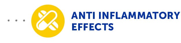 Anti Inflammatory Effects