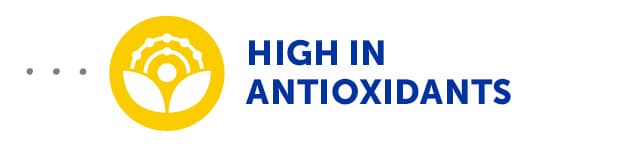 High in Antioxidants