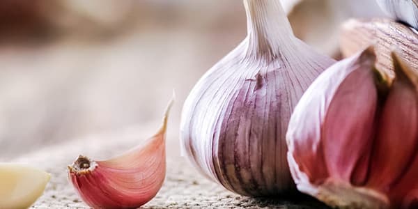 Different Types of Garlic