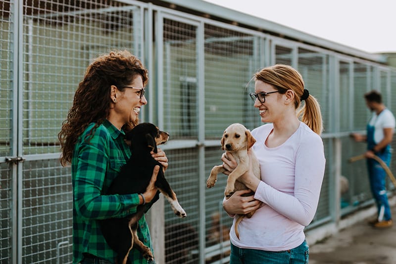 Two women happily holding puppies at an animal shelter