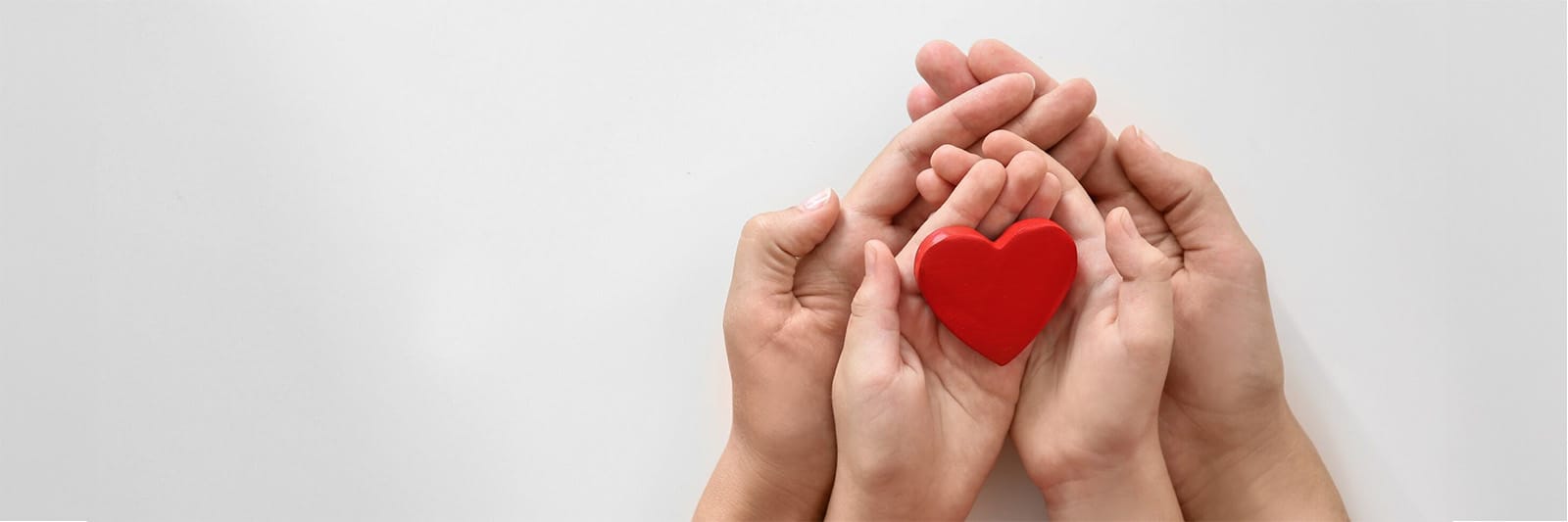 Multiple hands holding a red heart-shaped object on a white background
