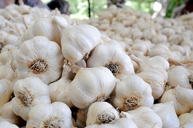 A pile of fresh garlic bulbs at a market, ready to enhance various delicious dishes